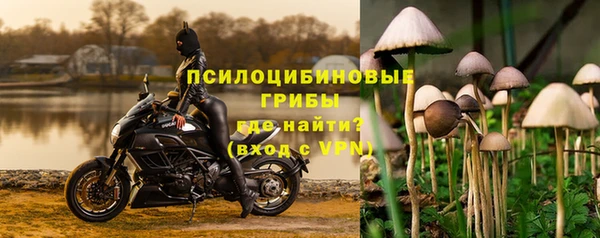 твердый Алзамай