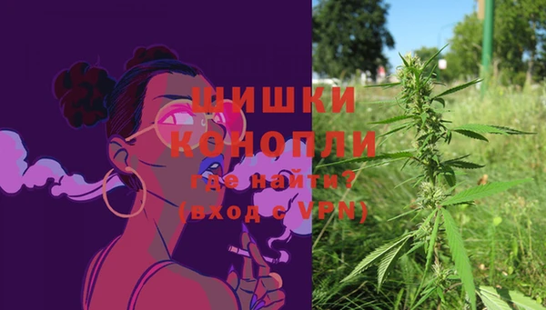 СК Новозыбков