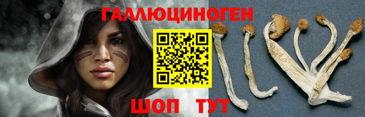 Галлюциногенные грибы Magic Shrooms Электрогорск