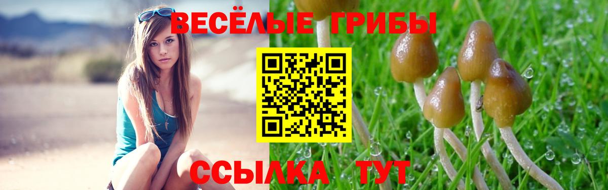 Псилоцибиновые грибы прущие грибы  Вход с VPN  Галлюциногенные грибы MAGIC MUSHROOMS  Электрогорск 